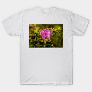 12516 rosehip T-Shirt